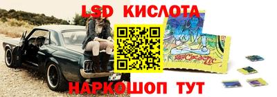 Альфа ПВП Кандалакша