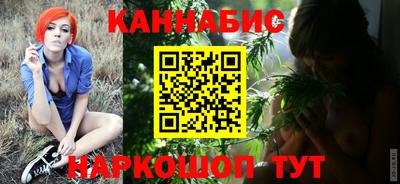 молекула духа Камышлов