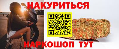 молекула духа Камышлов