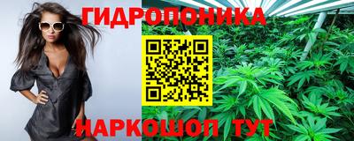 Альфа ПВП Кандалакша