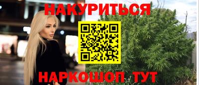 Альфа ПВП Кандалакша