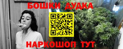 молекула духа Камышлов