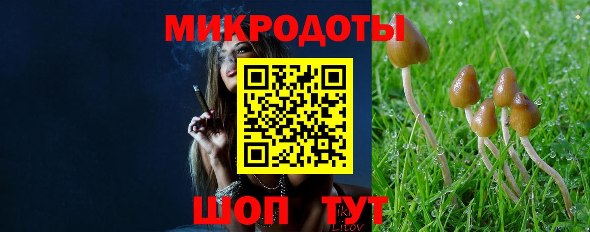 Галлюциногенные грибы мухоморы  Галлюциногенные грибы мухоморы  Вход с VPN  Людиново 